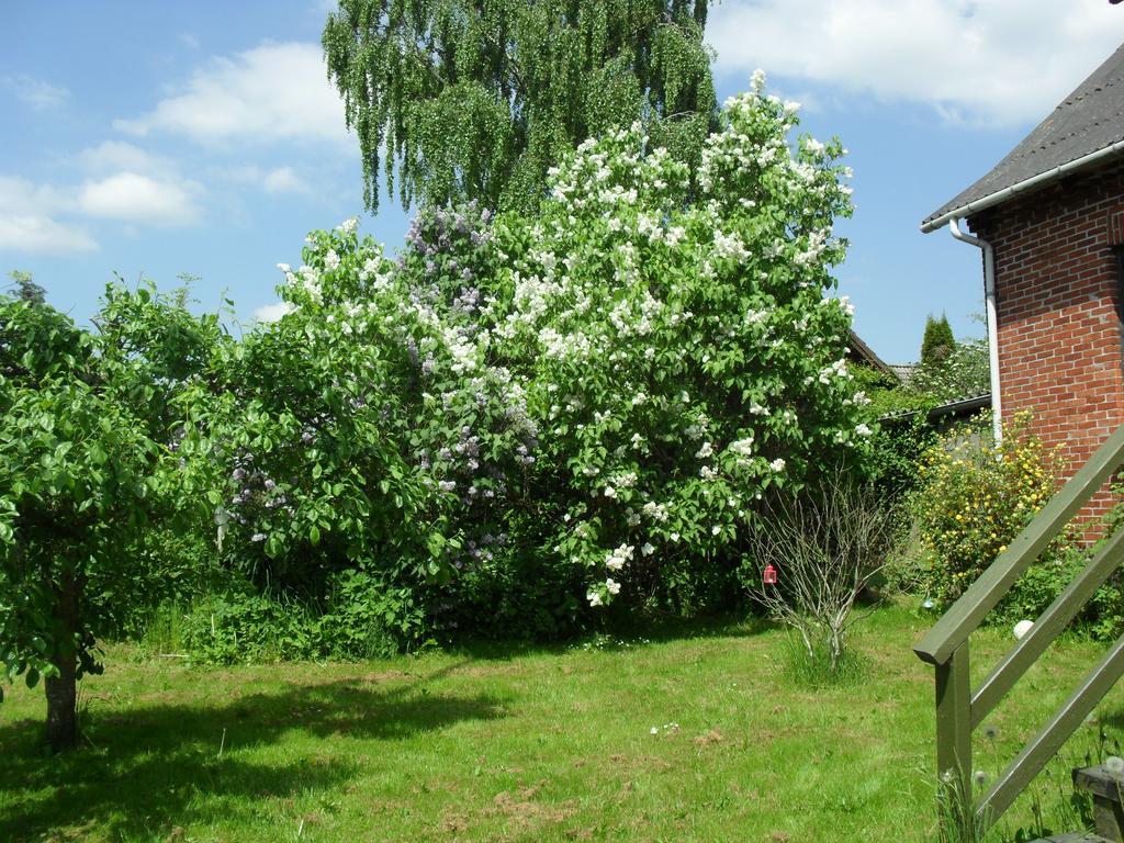 Bed and breakfast Borup Bed & Breakfast Extérieur photo